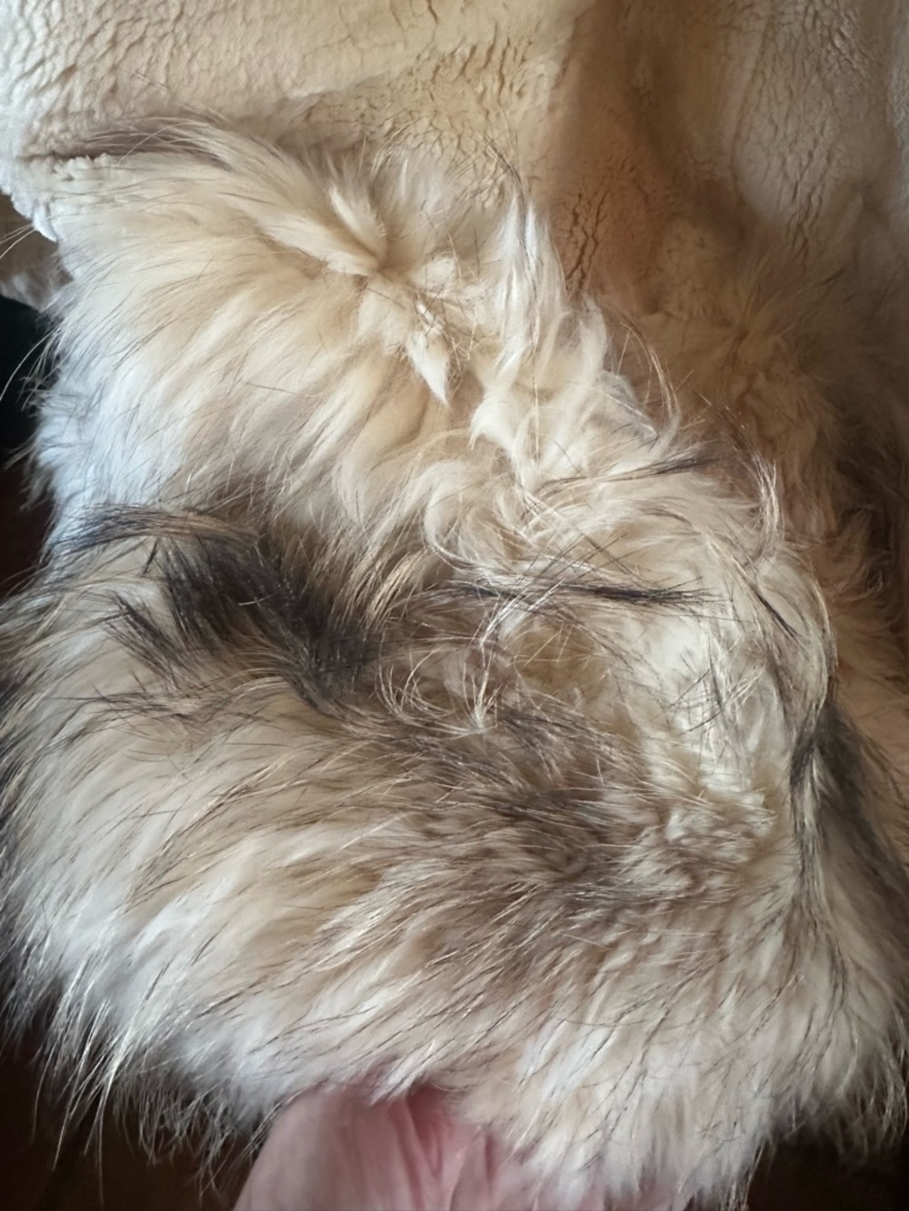 Huge & Heavy Fredrico Bano Fur Coat - Picture 8 of 9